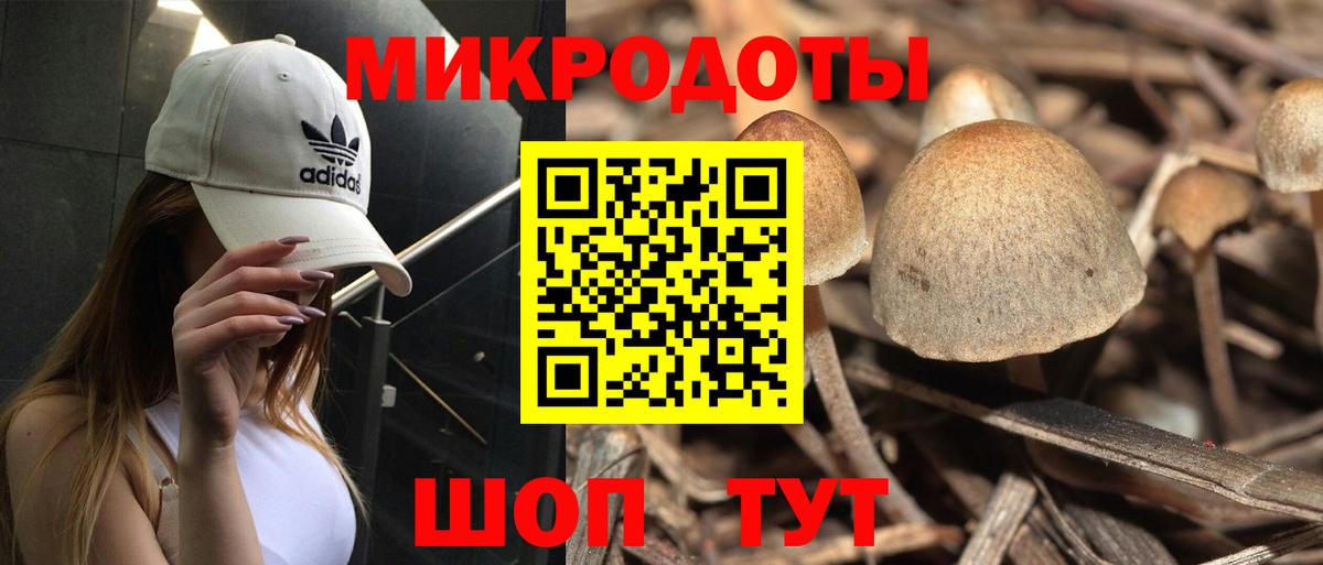 продажа наркотиков  Вход с VPN  Галлюциногенные грибы прущие грибы  Люберцы  Галлюциногенные грибы Psilocybine cubensis 