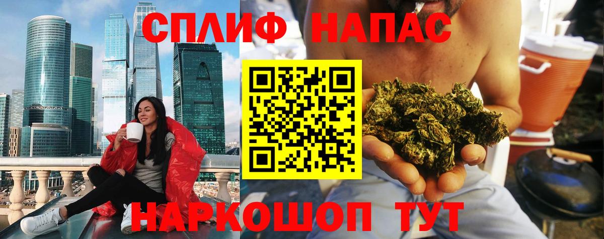 Каннабис сатива Люберцы